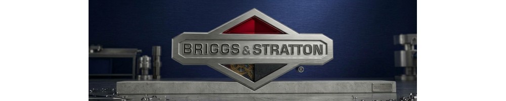 Briggs et stratton